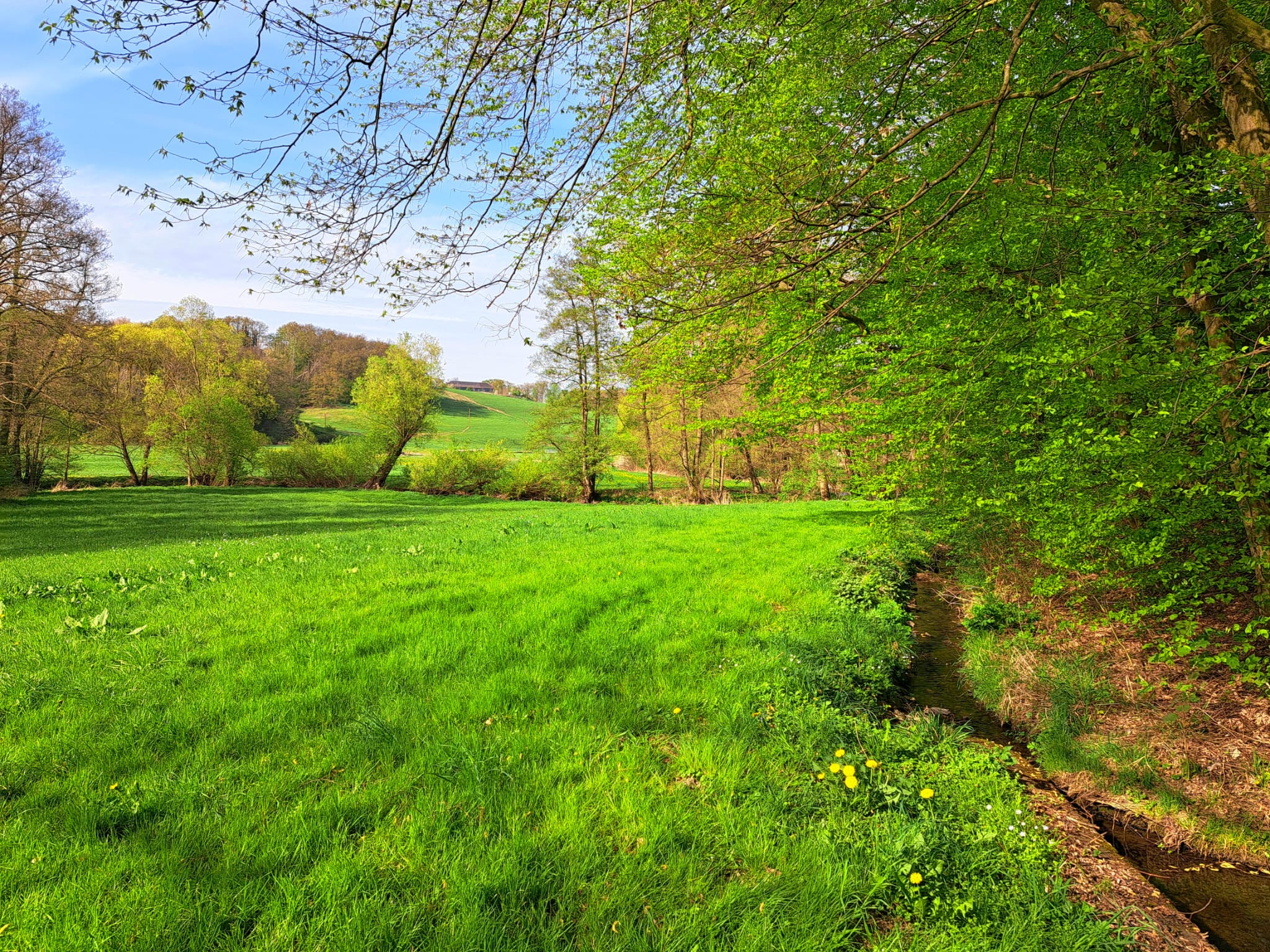 ein Landschaftsbild bei schönem Wetter