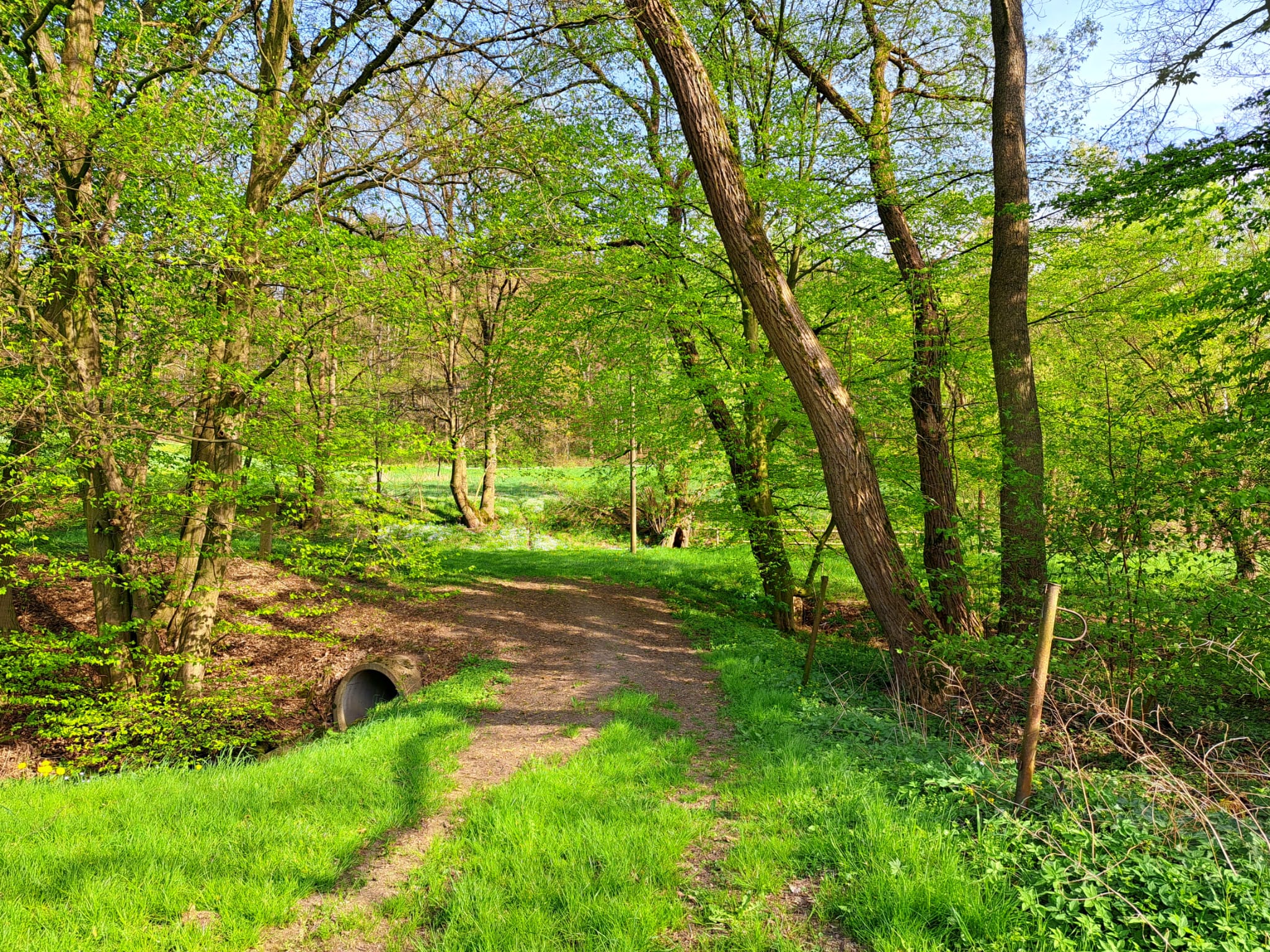 ein Landschaftsbild bei schönem Wetter